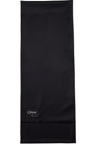 Picture of Satin Pashmina
