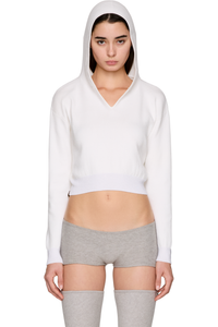 Picture of Bear Pullover Hoodie