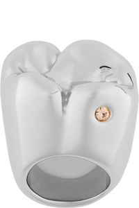 Picture of Tooth Ring