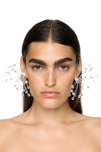 Picture of Crystal Ball Earrings