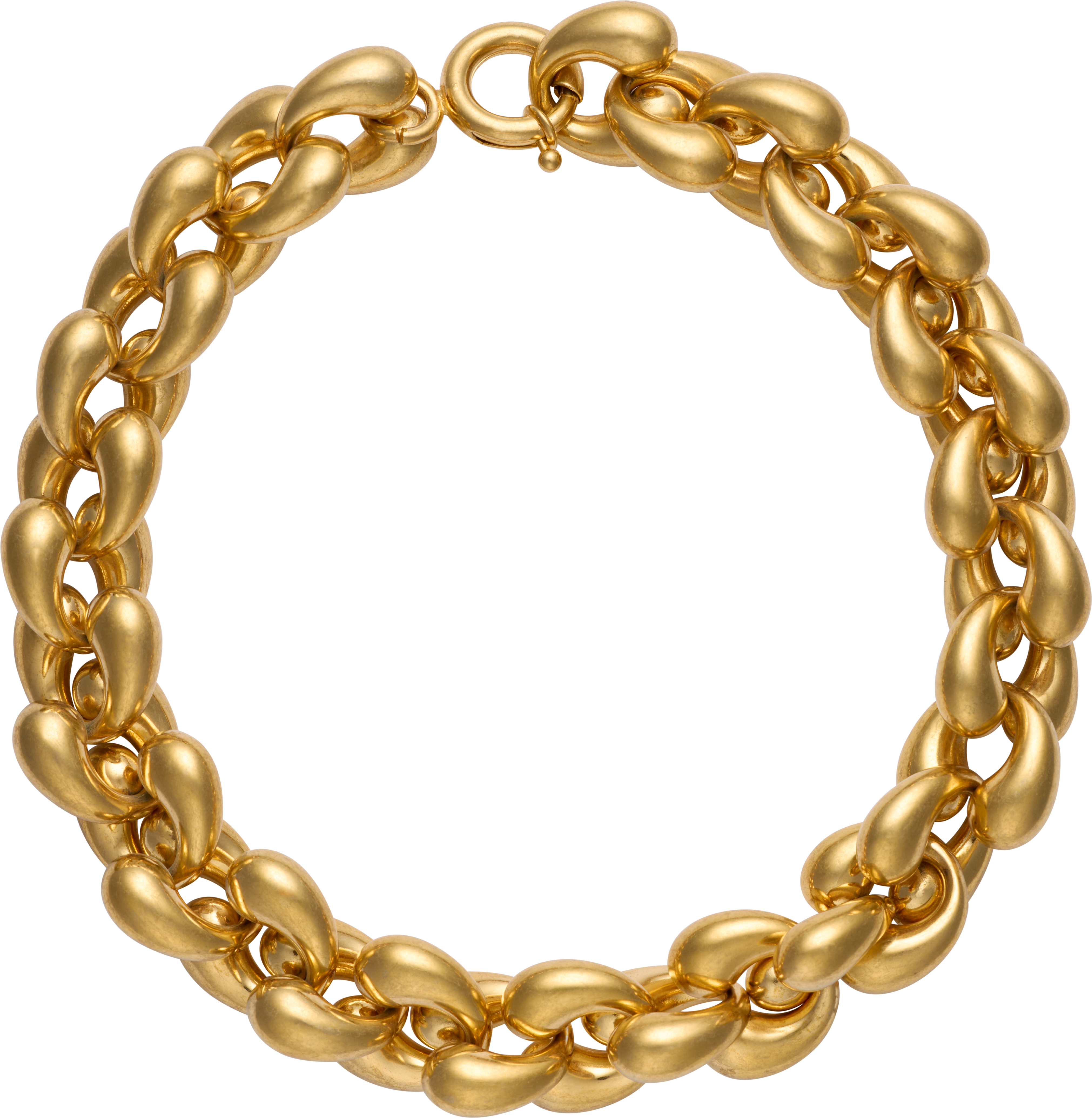 Hugo Kreit Pistil Chunky Chain Necklace