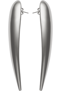 Picture of Nail Earrings