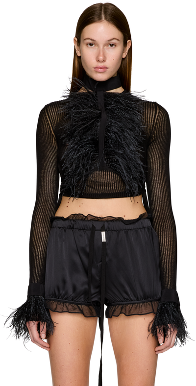Ann Demeulemeester Bets High Neck Feather Collar